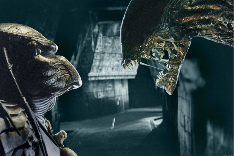 Image result for alien vs. predator movie